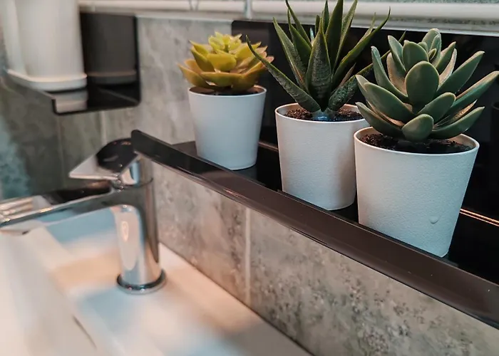 Apartmán Night Day Padrón